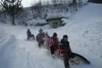 sport schlitten